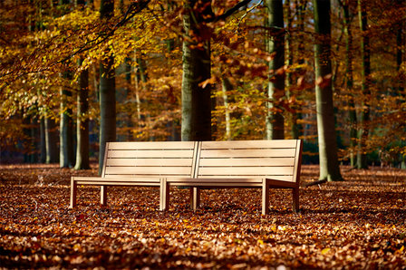 Traditional Teak MAXIMA bench 215 cm