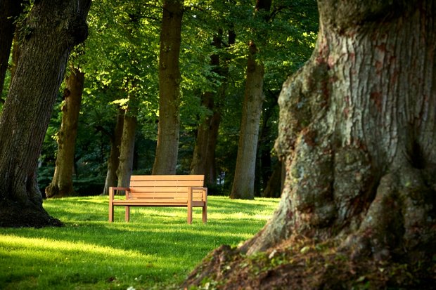 Traditional Teak MAXIMA bench 215 cm