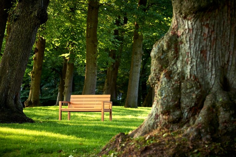 Traditional Teak MAXIMA bench 155 cm